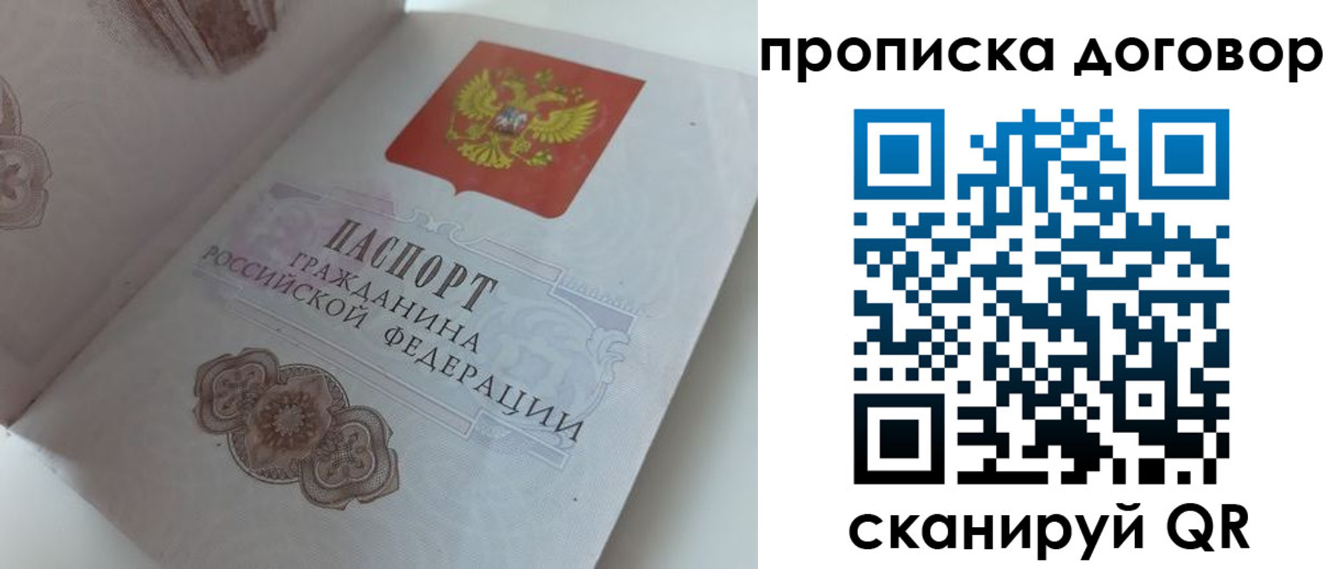 прописка поиск в Елабуге